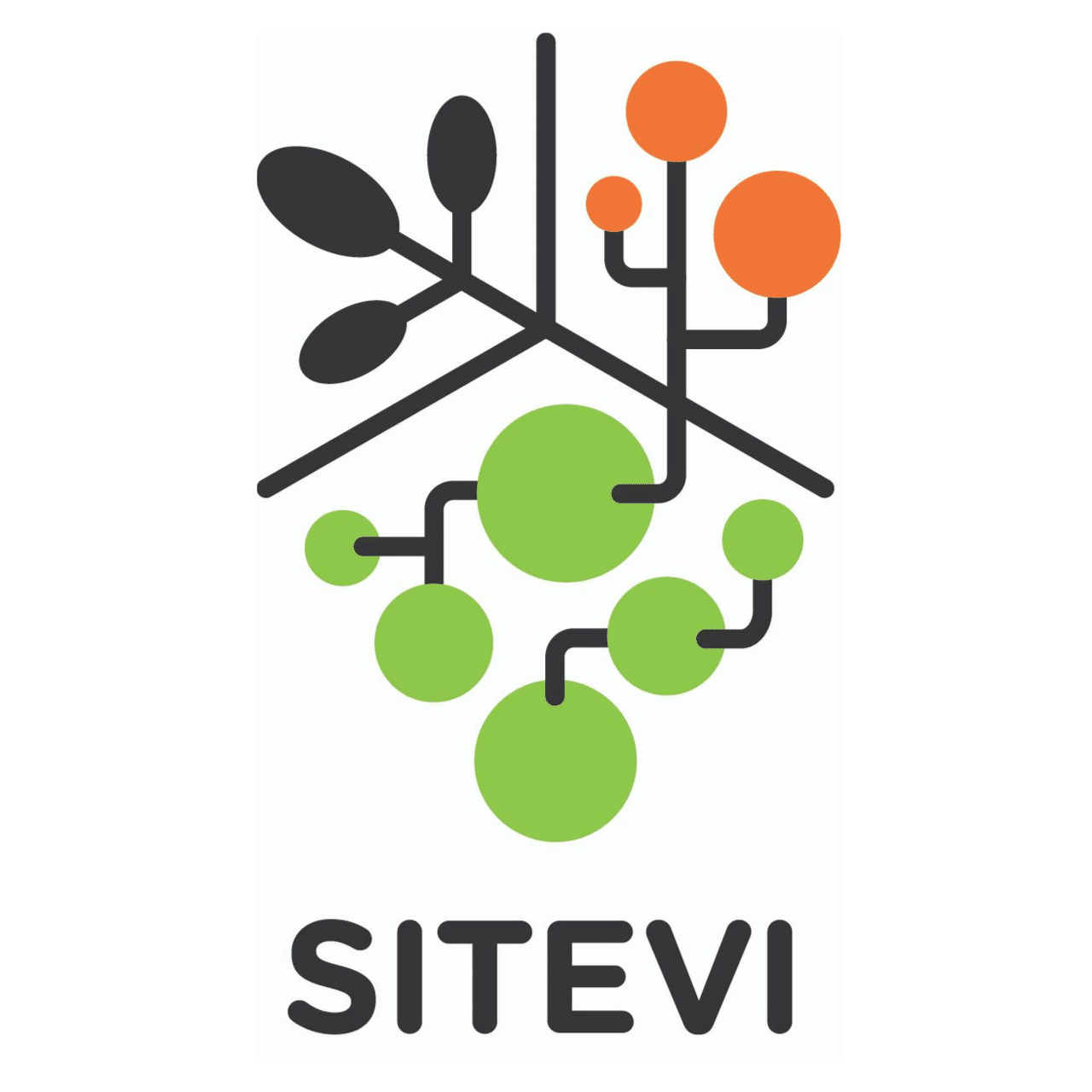 Logo du SITEVI