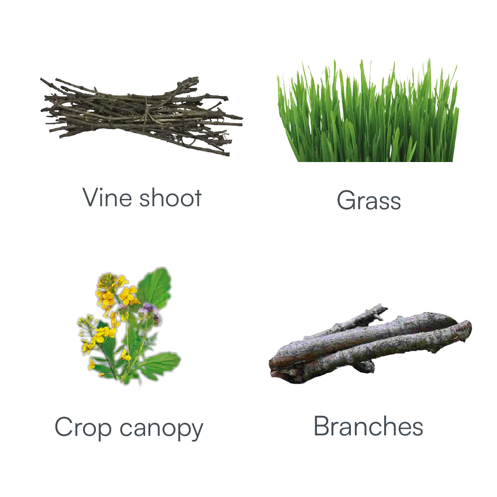 Complete range