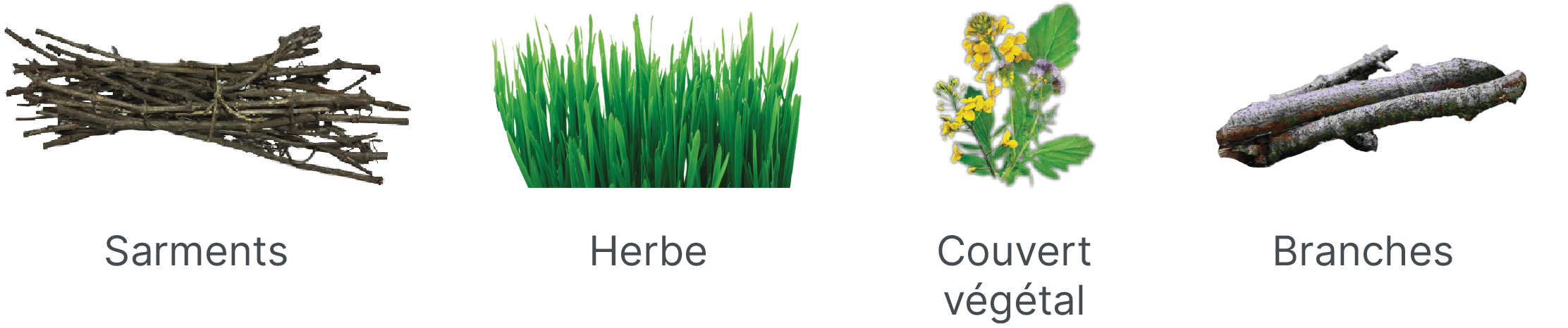 Spécialités