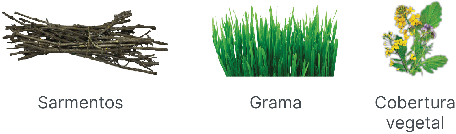 Especialidades tel POR