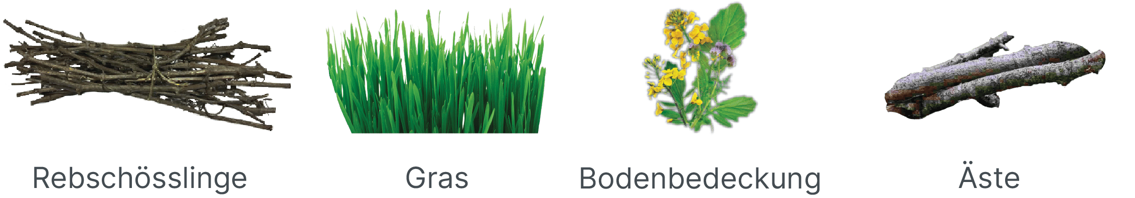 Sondermaschnen BVA tel ALL